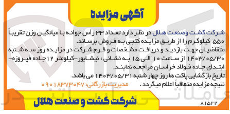 تصویر کوچک آگهی فروش تعداد 33 راس جوانه با میانگین وزن تقریبا 550 کیلوگرم 