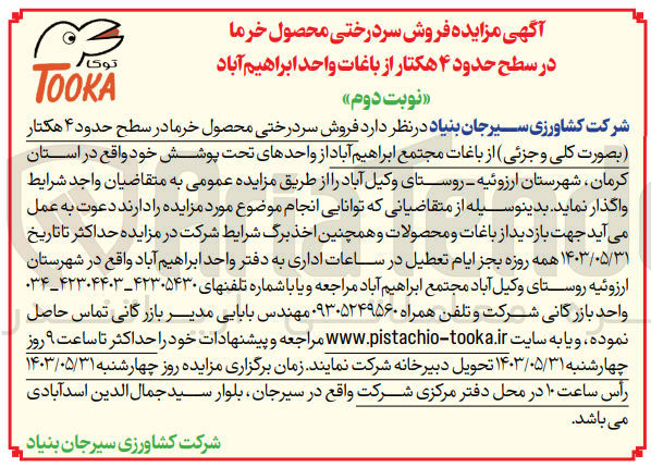 تصویر کوچک آگهی فروش سردرختی محصول خرما در سطح حدود 4 هکتار به صورت کلی و جزئی 