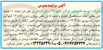 تصویر کوچک آگهی فروش تعداد 10 فیل ماهی آماده استحصال خاویار و حدود 5 تن ماهی پرواری با وزن 8تا 12 کیلوگرم 