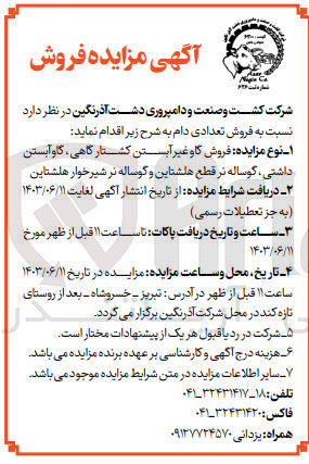 تصویر کوچک آگهی فروش تعدادی دام :گاو غیرآبستن کشتارگاهی ،گاو آبستن داشتی ،گوساله نر قطع هلشتاین و گوساله نر شیرخوار هلشتاین 