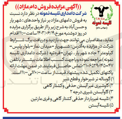 تصویر کوچک آگهی فروش دامهای مازاد شامل :
گوساله نر شیرخوار و قطع شیر 
گاو آبستن شیری درجه 2 
تلیسه آبستن 
گاو شیری غیر آبستن حذفی و کشتارگاهی و...
