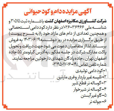 تصویر کوچک آگهی فروش کود دامی استحصالی و همچنین تعدادی از دام های مازاد :
کو دامی تولیدی -گوساله نر قطع شیر -جوانه نر-گاو غیر آبستن -تلیسه غیرباردار و فری مارتین و...