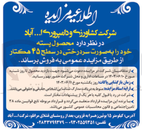تصویر کوچک آگهی فروش محصول پسته خود را به صورت سردرختی در سطح ۴۵ هکتار