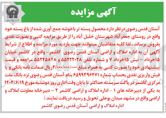 تصویر کوچک آگهی فروش محصول پسته تر باخوشه جمع آوری شده از باغ پسته خود