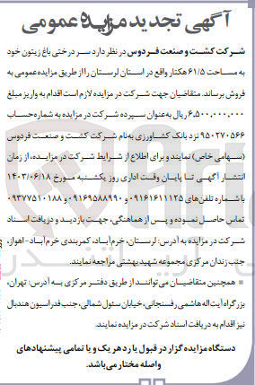 تصویر کوچک آگهی فروش سردرختی باغ زیتون به مساحت 61/5 هکتار 
