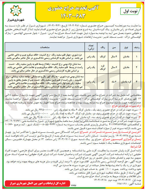 تصویر کوچک آگهی فروش تعداد دو راس مادیان و یک کره مادیان