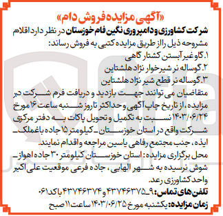تصویر کوچک آگهی فروش اقلام زیر :
1- گاو غیر آبستن کشتارگاهی
2- گوساله نر شیرخوار نژاد هلشتاین
3- گوساله نر قطع شیر نژاد هلشتاین