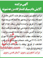 تصویر کوچک آگهی فروش آلایش حاصل از ذبح دام سبک (بره نرینه )مهرماه کشتارگاه مزرعه نمونه 