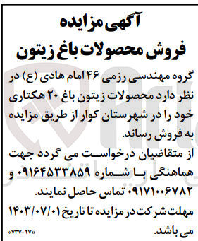 تصویر کوچک آگهی فروش  محصولات زیتون باغ ۲۰ هکتاری خود را در شهرستان کوار
