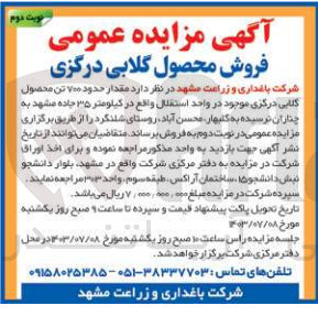 تصویر کوچک آگهی فروش مقدار حدود 700 تن محصول گلابی درگزی در واحد استقلال 