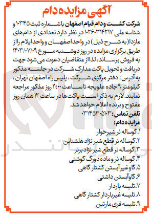 تصویر کوچک آگهی فروش تعدادی دام های مازاد شامل :
گوساله نر شیرخوار 
گوساله نر قطع شیر نژاد هلشتاین 
تلیسه باردار 
گاو آبستن داشتی 
تلیسه فری مارتین چ
و...