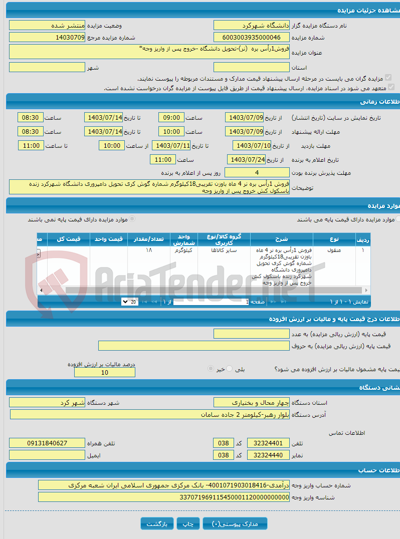 تصویر کوچک آگهی فروش1رأس بره (نر)-تحویل دانشگاه -خروج پس از واریز وجه*