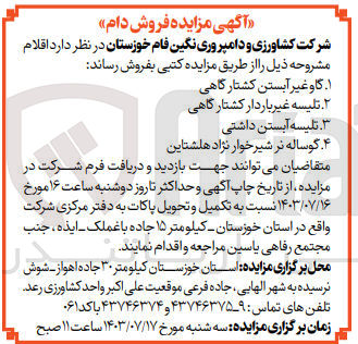 تصویر کوچک آگهی فروش دام شامل :
گاو غیر آبستن کشتارگاهی 
تلیسته آبستن  داشتی 
گوساله نر شیرخوار نژاد هلشتاین و..