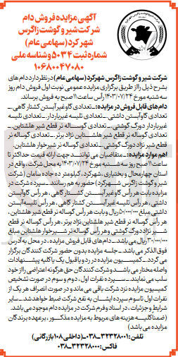 تصویر کوچک آگهی فروش دام شامل :
گاو غیر آبستن کشتارگاهی ،گاو آبستن داشتی ،تلیسه غیرباردار،تلیسه غیرباردار دورگ گوشتی ،گوساله نر قطع شیر هلشتاین و...