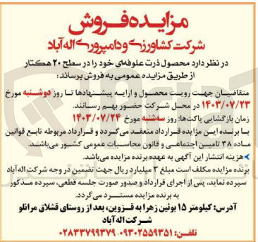 تصویر کوچک آگهی فروش محصول ذرت علوفه ای در سطح 20 هکتار 