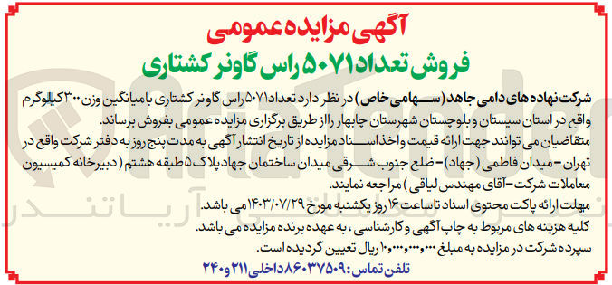 تصویر کوچک آگهی فروش تعداد ۵۰۷۱ راس گاونر کشتاری با میانگین وزن ۳۰۰ کیلوگرم