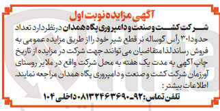 تصویر کوچک آگهی فروش تعداد حدود 30 راس گوساله  نر قطع شیر 