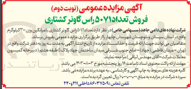 تصویر کوچک آگهی فروش تعداد 5071 راس گاور نر کشتاری 