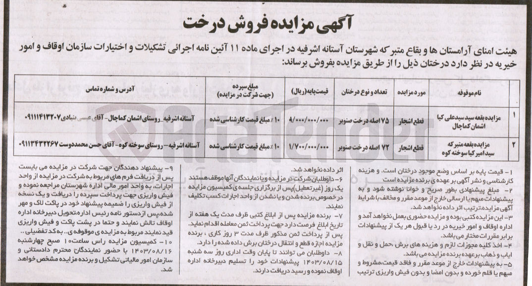 تصویر کوچک آگهی فروش درختان صنوبر در دوردیف 