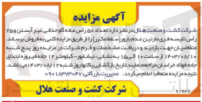 تصویر کوچک آگهی فروش تعداد ۵۰ راس ماده گاو حذفی غیر آبستن و ۲۵ رأس تلیسه فری مارتین عدم بارور (سقط مکرر) 