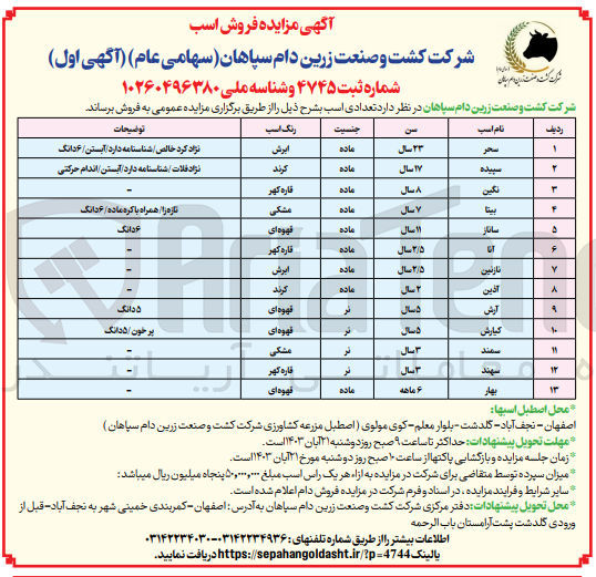 تصویر کوچک آگهی فروش تعدادی اسب در 13 ردیف 