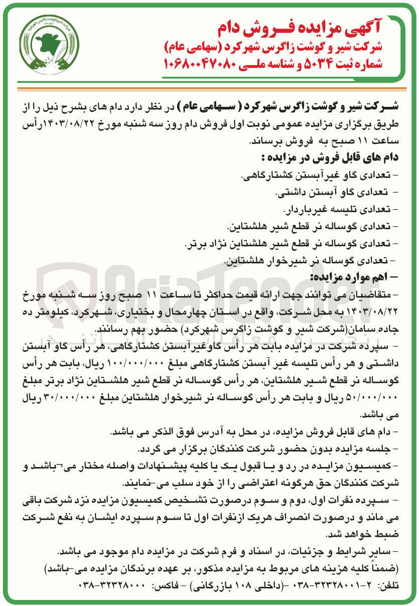 تصویر کوچک آگهی فروش دام های زیر :
تعدادی گاو غیر آبستن کشتارگاهی 
تعدادی گاو آبستن داشتی
تعدادى تلیسه غیر باردار
تعدادی گوساله نر قطع شیر هلشتاین
 تعدادی گوساله نر قطع شیر هلشتاین نژاد برتر
تعدادی گوساله نر شیرخوار هلشتاین