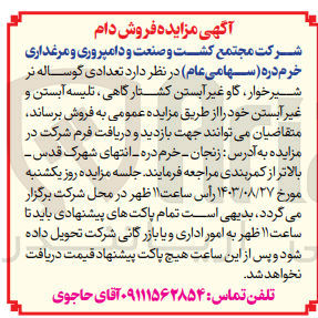 تصویر کوچک آگهی فروش تعدادی گوساله نر شیرخوار ،گاو غیرآبستن کشتارگاهی ،تلیسه آبستن و غیرآبستن 