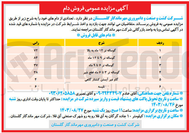 تصویر کوچک آگهی فروش تعدادی دام در 6 ردیف شامل :
گوساله نر 12 ماه به بالا ،گوساله نر 9تا12 ماه ،گاو غیر آبستن کشتارگاهی ،تلیسه و...