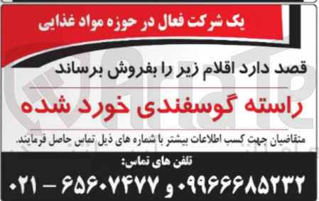 تصویر کوچک آگهی فروش راسته گوسفندی خورده شده