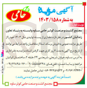تصویر کوچک آگهی فروش  مقداری از پسته تولیدی سال 1403