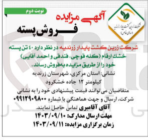 تصویر کوچک آگهی فروش  ۴۰ تن پسته خشك ارقام (كله قوچی فندقی و احمد آقایی)