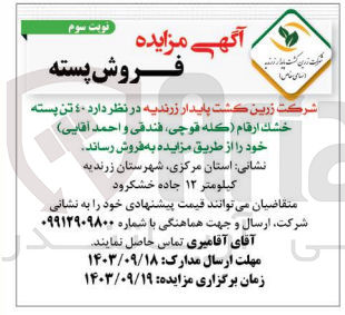 تصویر کوچک آگهی فروش 40 تن پسته خشک ارقام (کله قوچی، فندقی و احمد آقایی)