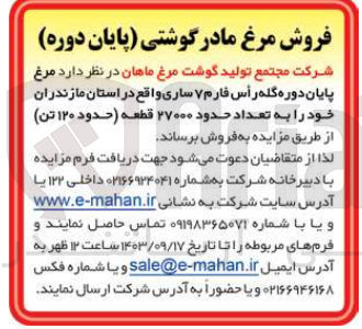 تصویر کوچک آگهی فروش مرغ پایان دوره گله راس فارم 7ساری به تعدد حدود 27000 قطعه 