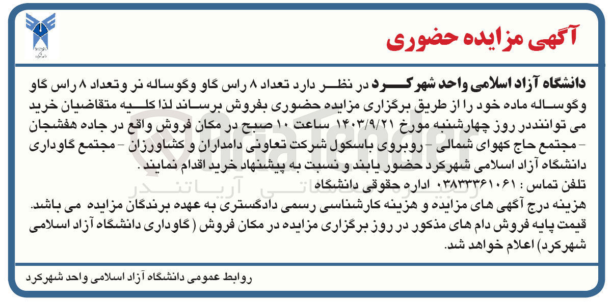 تصویر کوچک آگهی فروش تعداد ۸ راس گاو و گوساله نر و تعداد ۸ راس گاو و گوساله ماده 