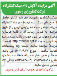 تصویر کوچک آگهی فروش آلایش حاصل از ذبح دام سبک (بره  نرینه )دی  ماه کشتارگاه مزرعه  نمونه و سردخانه پردیس توس 