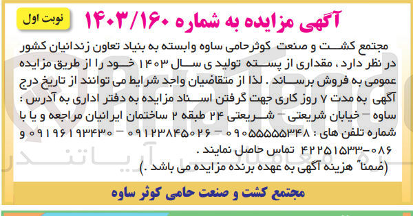 تصویر کوچک آگهی فروش مقداری پسته تولیدی سال 1403