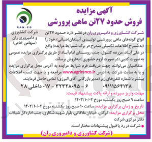 تصویر کوچک آگهی فروش حدود 27 تن ماهی پرورشی 