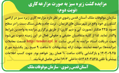 تصویر کوچک آگهی واگذاری  مزارعه کاری زیره سبز در اراضی کشاورزی خود واقع در شهرستانهای فریمان تربت جام و بخش سنگ بست را در سطح حدود ۲۳۵ هکتار (بصورت آبی و دیم کاری) 