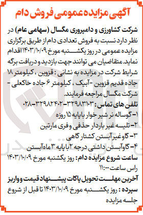 تصویر کوچک آگهی فروش تعدادی دام شامل :گوساله نر شیرخوار با پایه 15 روز ،تلیسه غیر باردار حذفی وفری مارتین ،گاو غیر آبستن کشتار گاهی و...