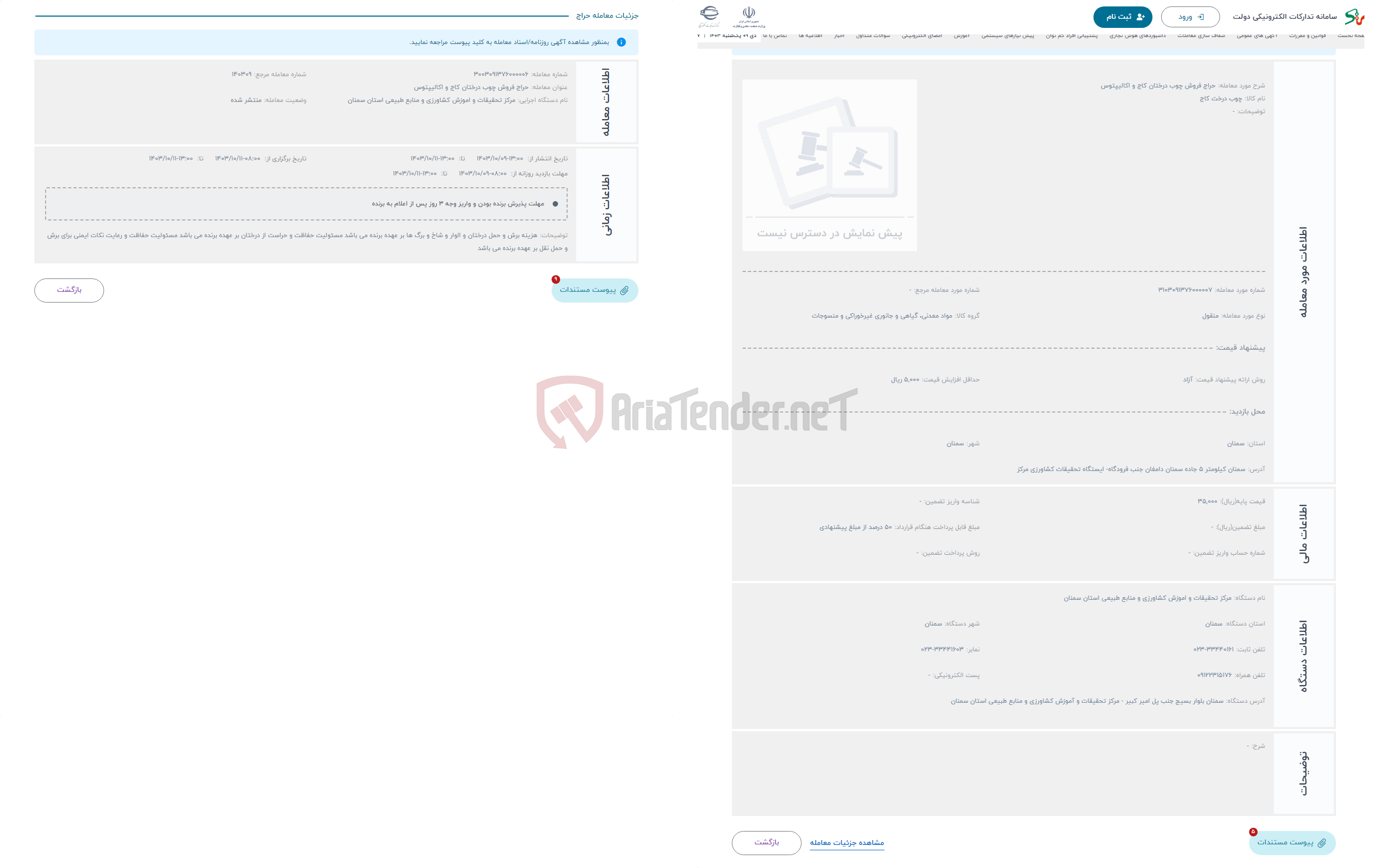 تصویر کوچک آگهی حراج فروش چوب درختان کاج و اکالیپتوس