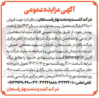 تصویر کوچک آگهی فروش ۶۵,۰۰۰ کیلوگرم محصول پسته تولیدی سال ۱۴۰۳ مزارع تحت پوشش 