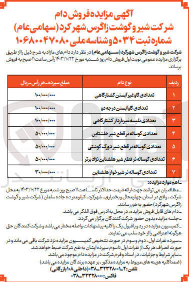 تصویر کوچک آگهی فروش دام در 7ردیف شامل :گاو آبستن درجه دو ،گوساله نر قطع شیر هلشتاین ،گاو غیر آبستن کشتار گاهی ،گوساله نر شیرخوار هلشتاین و...