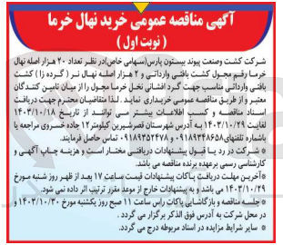 تصویر کوچک آگهی خرید تعداد 20 هزار اصله نهال خرما رقم مجول کشت بافتی وارداتی و 2 هزار اصله نهال نر کشت بافتی وارداتی مناسب جهت گردافشانی نخل خرما مجول 