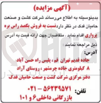 تصویر کوچک آگهی فروش یکصد راس بره پرواری