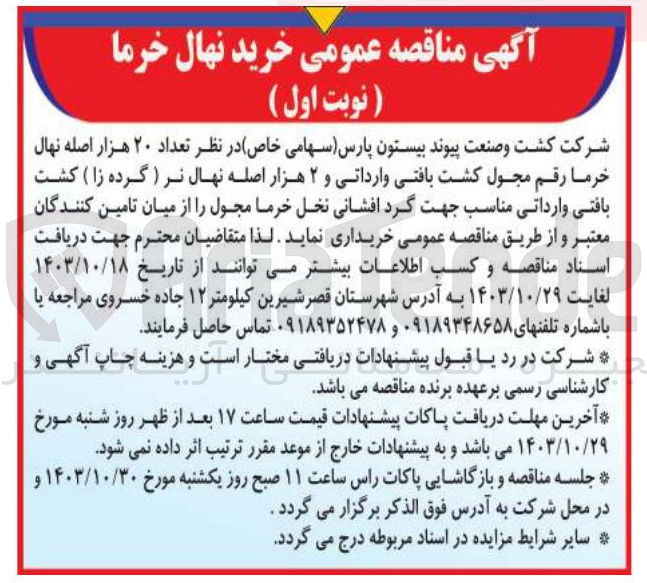 تصویر کوچک آگهی تعداد ۲۰ هزار اصله نهال خرما رقم مجول کشت بافتی وارداتی و ۲ هزار اصله نهال نر ( گرده زا ) کشت بافتی 