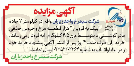 تصویر کوچک آگهی فروش  ۱۱ هزار قطعه مرغ و خروس حذفی مادر گوشتی با متوسط وزن ۴/۵ کیلوگرم