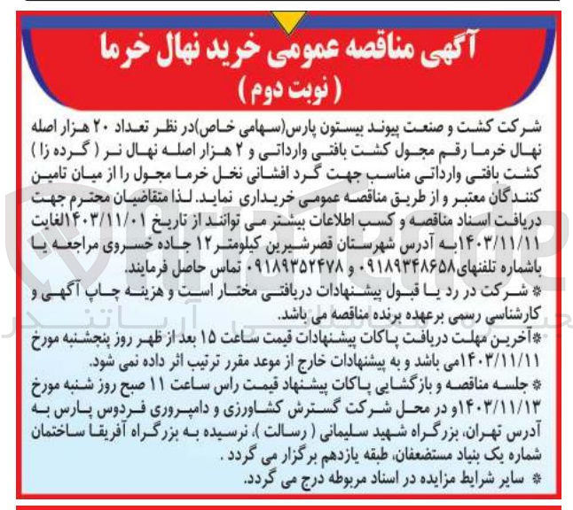 تصویر کوچک آگهی خرید تعداد ۲۰ هزار اصله نهال خرما رقم مجول کشت بافتی وارداتی و ۲ هزار اصله نهال نر ( گرده زا ) کشت بافتی وارداتی مناسب جهت گرد افشانی نخل خرما مجول