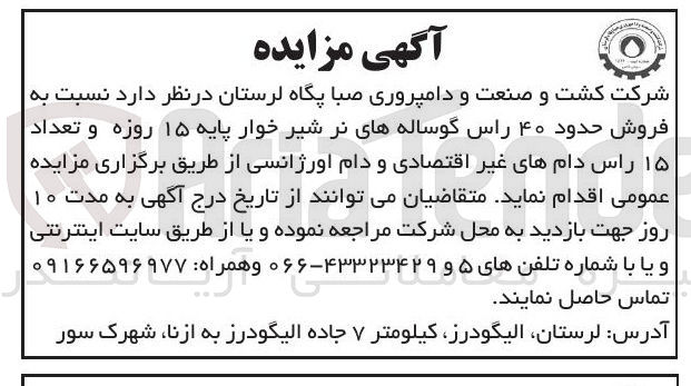 تصویر کوچک آگهی فروش حدود ۴۰ راس گوساله های نر شیر خوار پایه ۱۵ روزه و تعداد ۱۵ راس دامهای غیر اقتصادی و دام اورژانسی