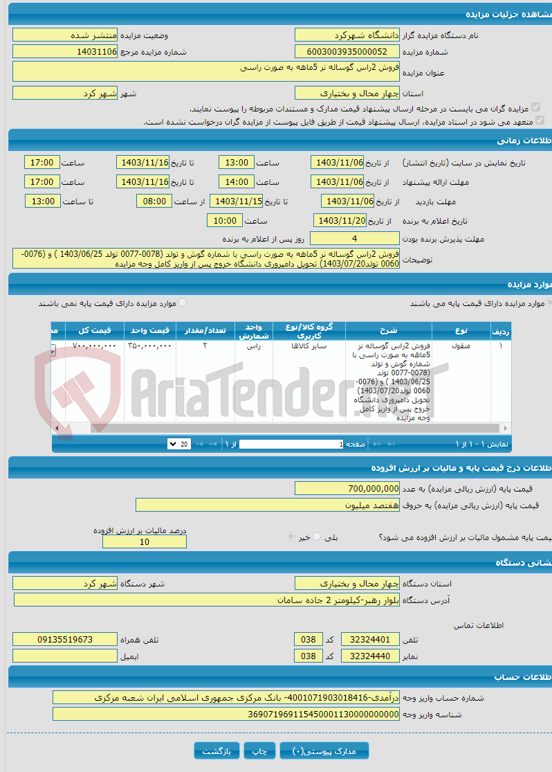 تصویر کوچک آگهی فروش 2راس گوساله نر 5ماهه به صورت راسی 