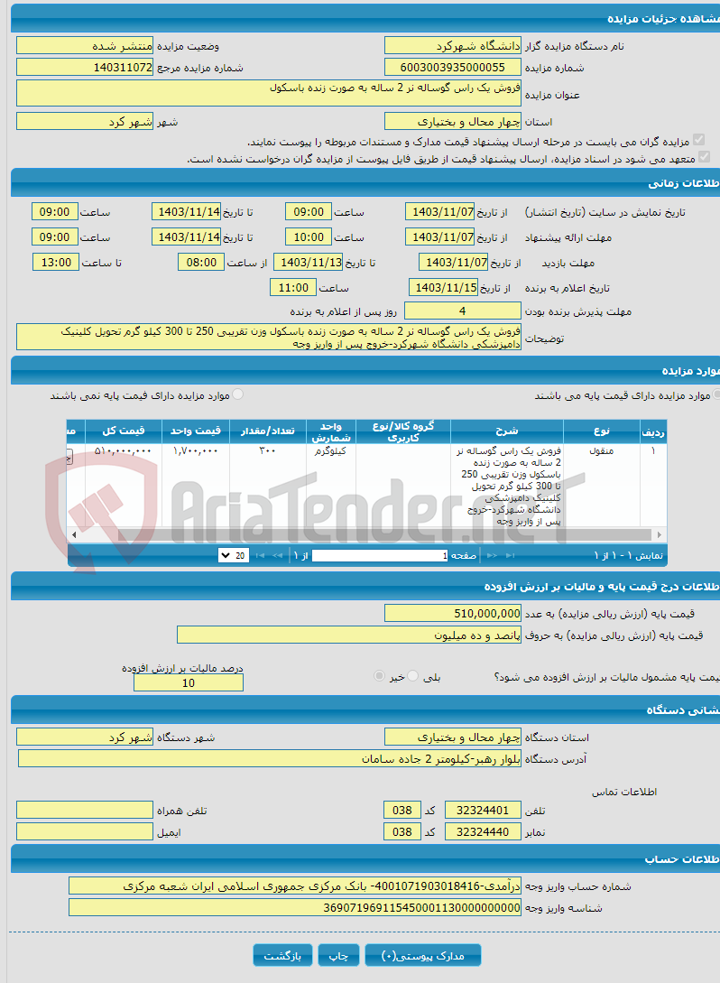 تصویر کوچک آگهی فروش یک راس گوساله نر 2 ساله به صورت زنده باسکول